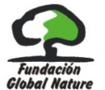 Logo FGN